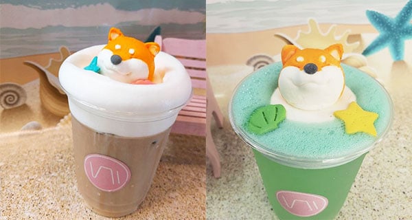 台北手作治癒飲品吧 柴犬部長融化你心靈| 台灣美食 | 放假去邊