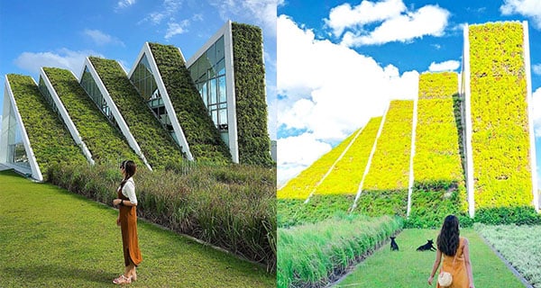 世界級綠化建築設計 欣賞花蓮洄瀾灣會館｜台灣旅遊｜放假去邊