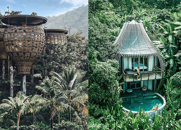 布吉樹屋Villa～親臨隱世秘境！｜泰國旅遊｜放假去邊