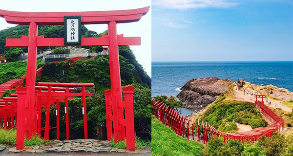 日本「元乃隅稲成神社」123座紅色鳥居壯麗絕景 ｜日本旅遊｜放假去邊
