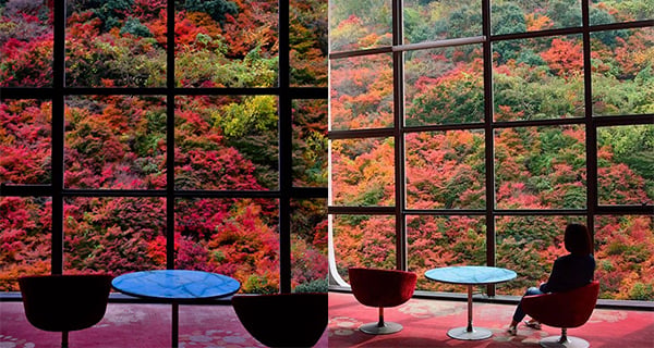 日本幽靜溫泉酒店 盡享震撼紅葉美景｜日本旅遊｜放假去邊