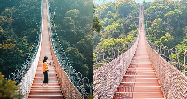 台灣夢幻天空之橋 體驗鳥瞰山林美景嘅感覺｜台灣旅遊｜放假去邊