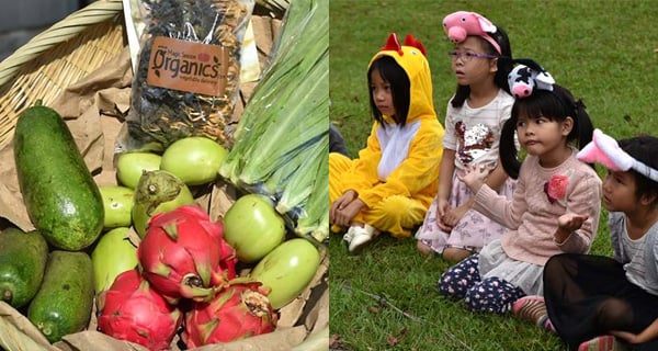 【第7屆香港素食嘉年華】免費入場！70多個攤檔任你行｜親子好去處｜香港玩樂｜開團