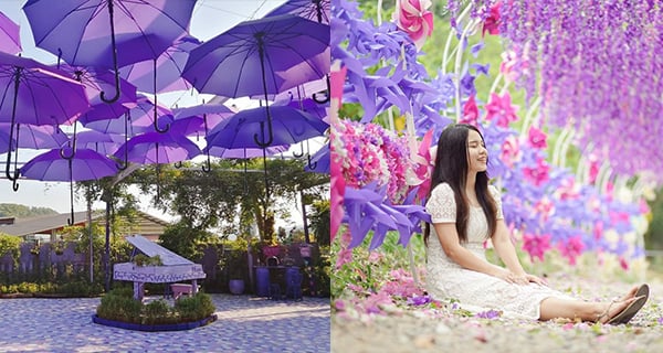 台灣苗栗紫色系Cafe 一瞬間踏入紫色世界｜台灣旅遊｜放假去邊