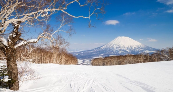 【日本滑雪新手攻略】初學者必備！日本滑雪場特色、地址、交通、住宿一次大贈送！｜住宿優惠｜開團