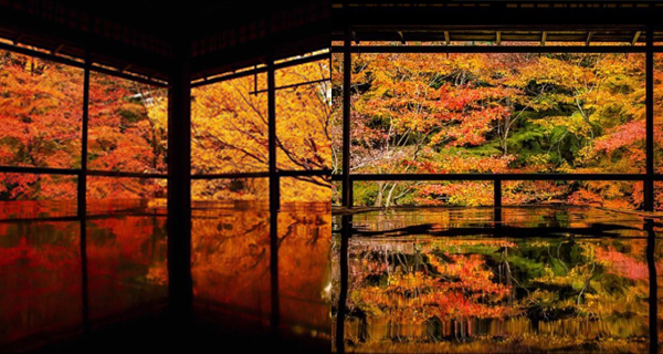 京都「瑠璃光院」 震撼人心的滿窗紅葉｜日本旅遊｜放假去邊