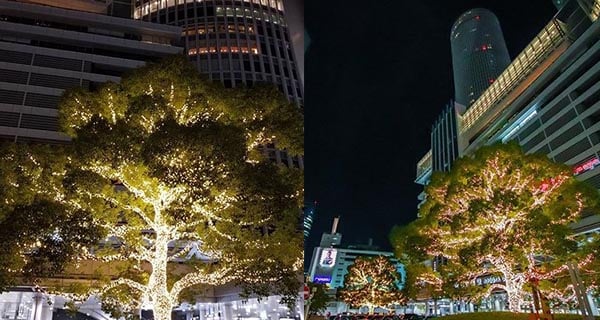 日本名古屋大樹燈飾 點睇都似發光嘅西蘭花!｜日本旅遊｜放假去邊