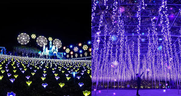 日本燈飾展覽「足利花卉公園」浪漫燈海夢幻繽紛｜日本旅遊｜放假去邊