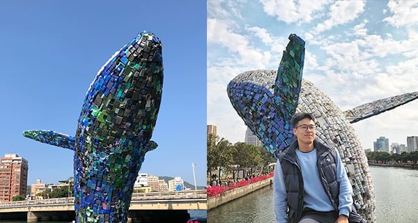 台灣巨型座頭鯨環保展品 栩栩如生動作超神似｜台灣旅遊｜放假去邊