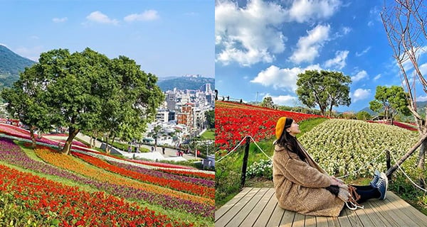 台灣期間限定彩虹花海 層層疊疊色彩繽紛｜台灣旅遊｜放假去邊
