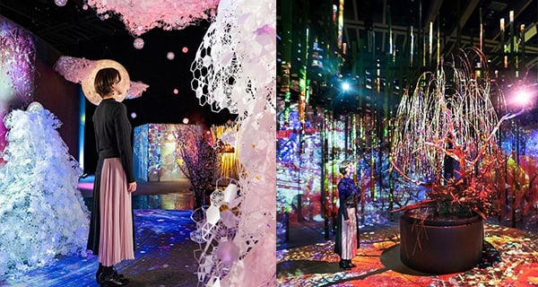 日本FLOWERS BY NAKED 2020展覽 感受俾櫻花包圍嘅感覺｜日本旅遊｜放假去邊