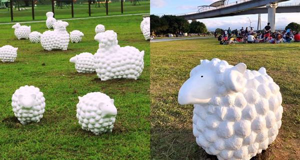 台灣大草坪上「60隻小綿羊」一大片超可愛治癒｜台灣旅遊｜放假去邊