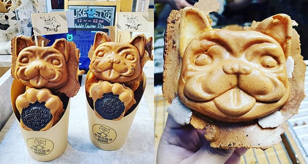 台中鬥牛犬雞蛋糕 可愛爆登非常熱賣｜台灣美食｜放假去邊