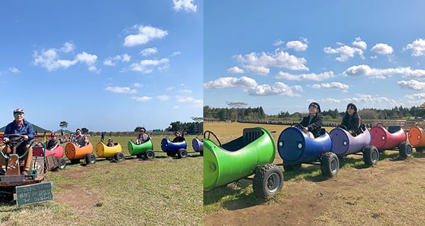 韓國濟州島風之山坡 彩虹小火車令你重拾童年時光｜韓國旅遊｜放假去邊