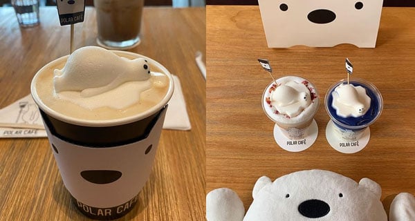 台北北極熊主題Cafe 可愛北極熊浮喺飲品上面｜台灣美食｜放假去邊
