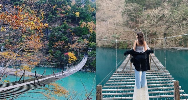 日本恬靜秘境夢之吊橋 登山打卡欣賞日本獨有風光｜日本旅遊｜放假去邊