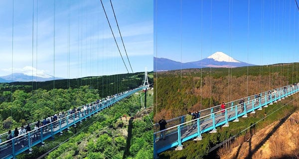 日本最長步行吊橋 富士山壯麗景色近到喺眼前一樣｜日本旅遊｜放假去邊