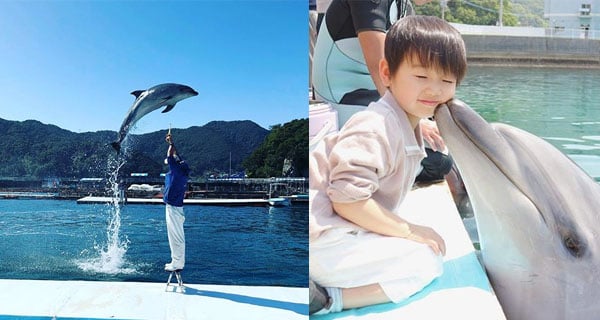 日本海豚零距離接觸體驗 可以捉住海豚鰭同海豚游水啊~｜日本旅遊｜放假去邊