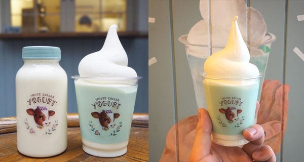 日本濃郁Yogurt milk雪糕 小牛圖案食出啖啖奶香味｜日本美食｜放假去邊