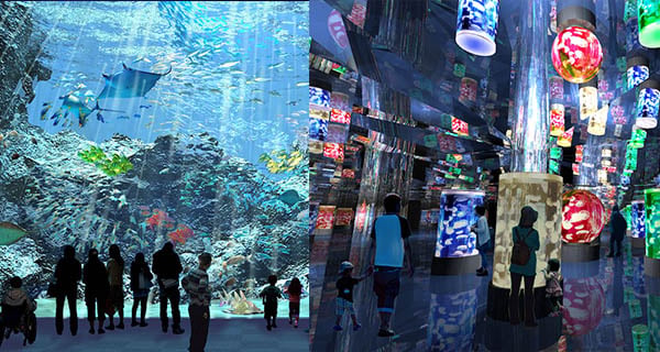 台灣奇妙投影水族館 用影像帶俾大家夢幻視覺效果｜台灣旅遊｜放假去邊