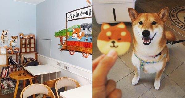 可愛柴犬店長陪你歎咖啡！西貢柴犬郎咖啡店｜香港旅遊｜放假去邊