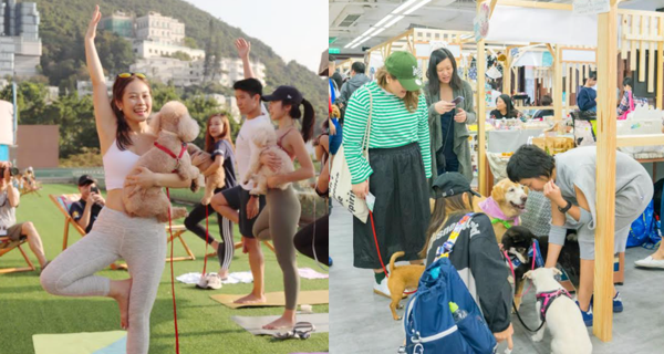 【香港】赤柱廣場Paws Galaxy打造寵物海濱嘉年華！必影四大星際主題打卡場景｜香港玩樂｜放假去邊