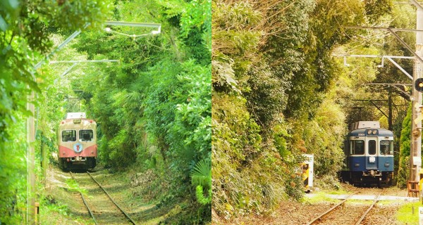 情侶打卡必到！日本重現烏克蘭嘅浪漫「愛情隧道」｜日本旅遊｜放假去邊