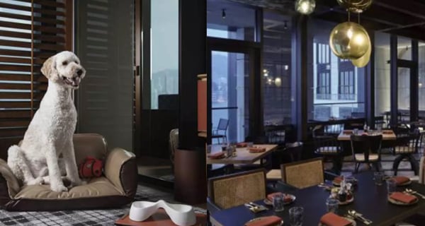 【快閃優惠】瑰麗酒店4折住宿優惠！雙人半自助早餐+$500消費券！｜香港玩樂｜放假去邊