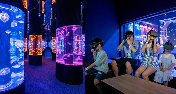 【香港】荃灣首個水母館~海洋觀景窗/超靚打卡位/VR體驗海洋！｜香港玩樂｜放假去邊