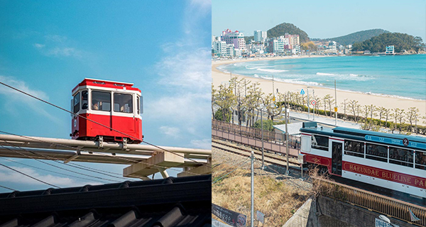 韓國釜山超人氣觀光鐵道！一票難求天空艙海岸列車！｜韓國玩樂｜放假去邊