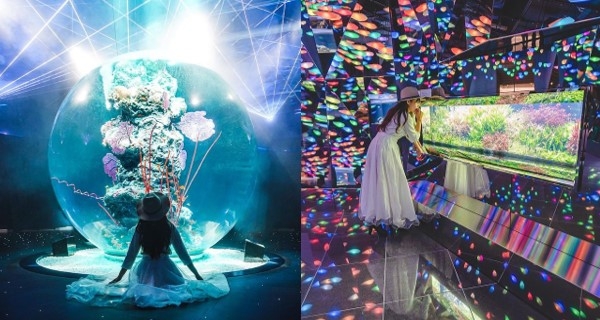 【日本】神戶全新三層水族館開幕～結合夢幻藝術元素展出過百種海洋生物！｜日本旅遊｜放假去邊