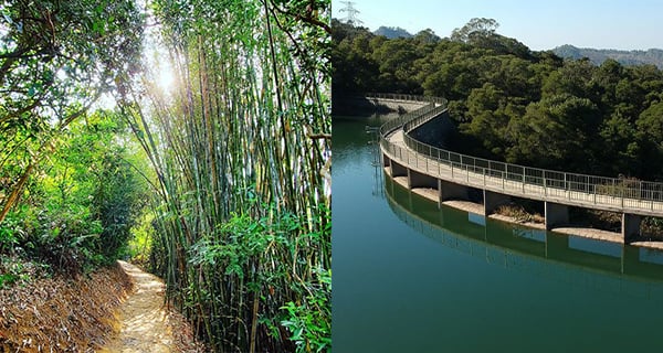 【香港】河背水塘S型水壩輕鬆路線！仲有竹林小徑！｜香港玩樂｜放假去邊