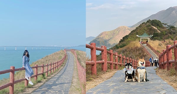 【香港】大澳虎山紅欄徑！新手行山必去！一望無際海景日落！｜香港玩樂｜放假去邊
