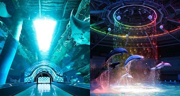 【日本】東京Aqua Park冬日冰雪主題！超夢幻水晶雪花海洋雪穹！｜日本遊點｜放假去邊