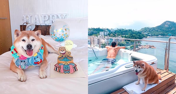 【快閃優惠】赤柱東方酒店寵物Staycation！四人住宿人均$543連寵物！歎屋頂按摩浴缸｜酒店優惠｜放假去邊