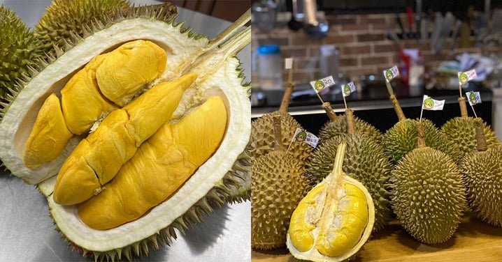 【快閃優惠】維港觀光船90分鐘榴槤放題！必食貓山王+XO！送現金券/禮品總值$300！｜玩樂優惠｜放假去邊