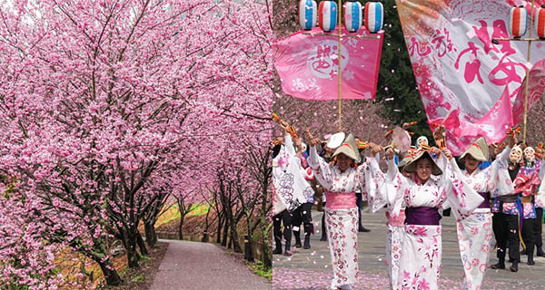 【台灣賞櫻2024】台灣賞櫻好去處，附10大人氣賞櫻地點花期預測！