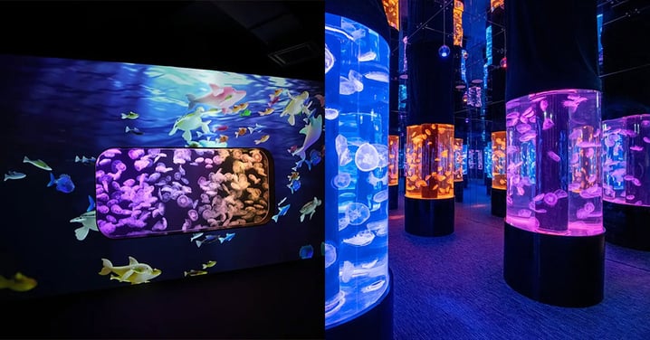 【門票半價】荃灣親子好去處 香港浩海立方探游館必搶限量半價優惠